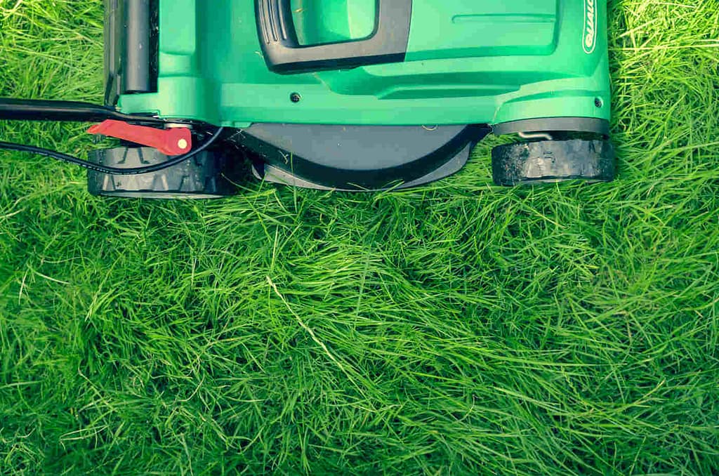 kosten rasenmaeher gartenpflege